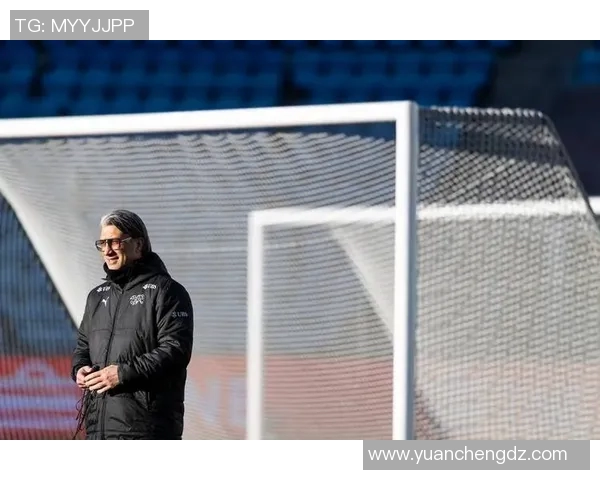 瑞士与日本友谊赛精彩对决展现足球魅力与团队精神
