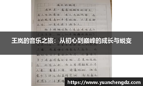 王岚的音乐之旅:从初心到巅峰的成长与蜕变